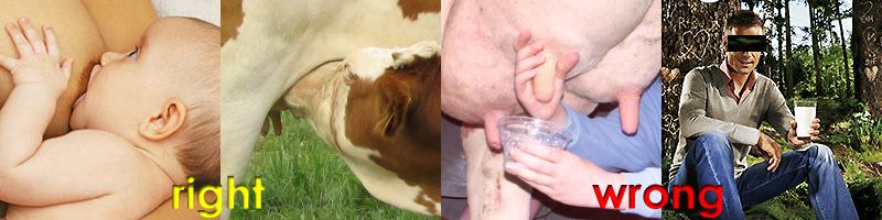 Milk Abolition Campaign: We are Weaned